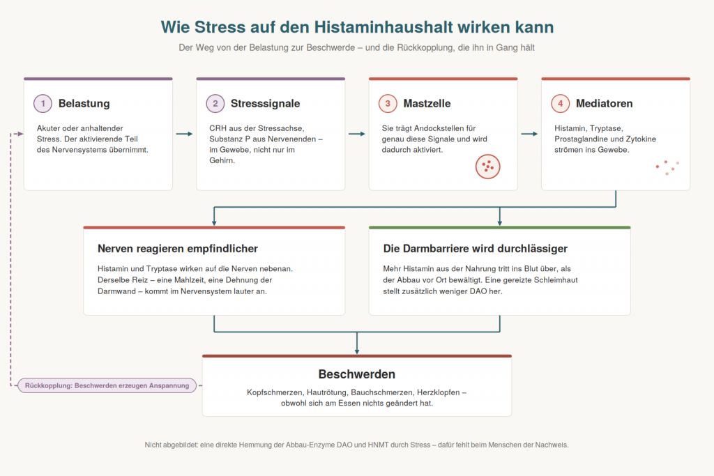 Frau sitzt erschöpft auf einem Sofa – Stress kann Histaminbeschwerden verstärken